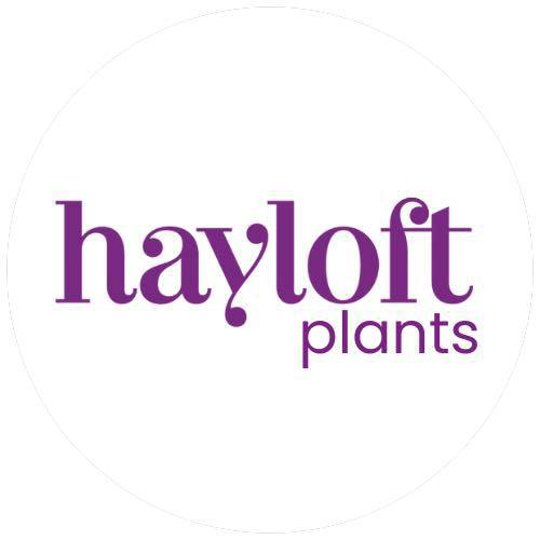 Hayloft Plants