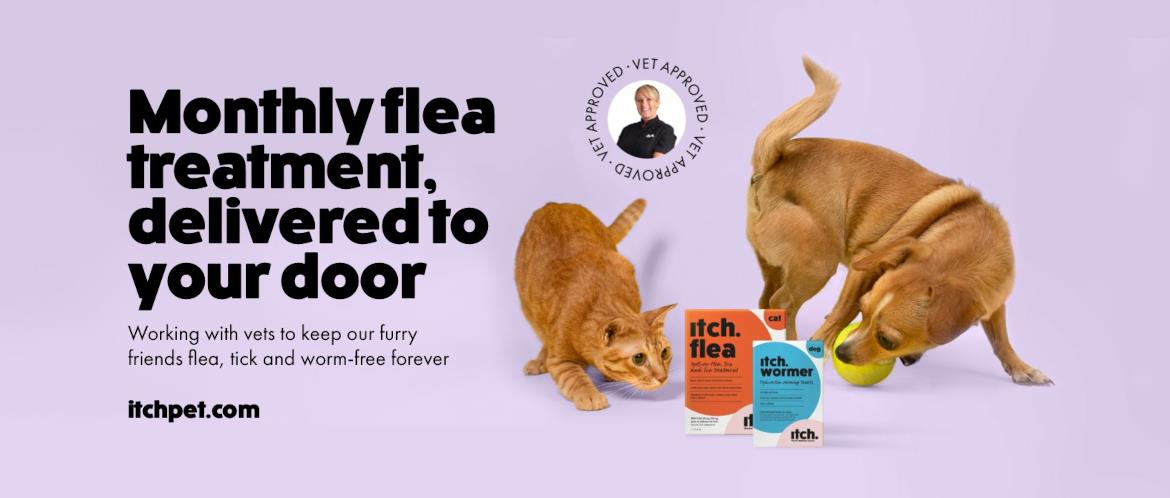 itch pet