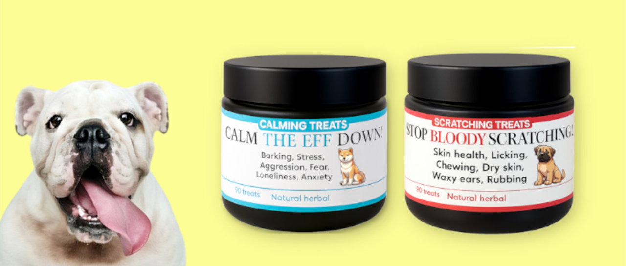 Pets Calm Down