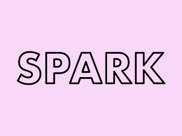 The Spark Company