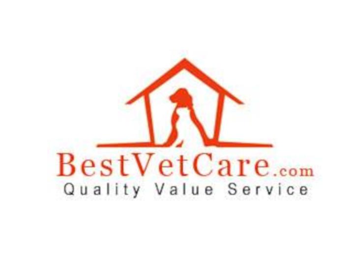 Best Vet Care